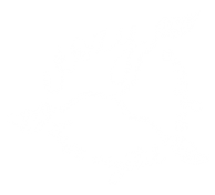 ecozy-logo-branco-rodapé
